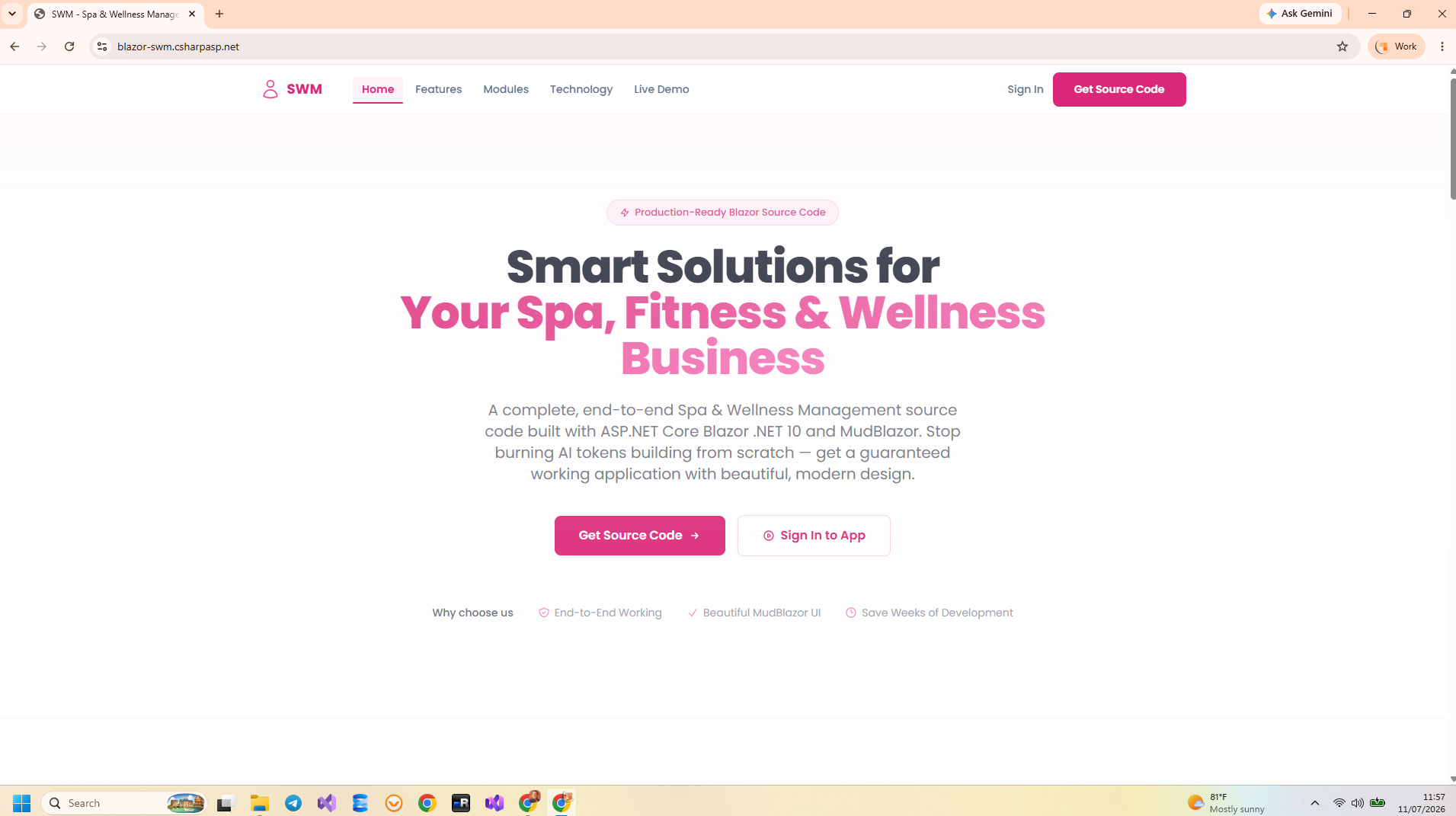 Blazor SWM